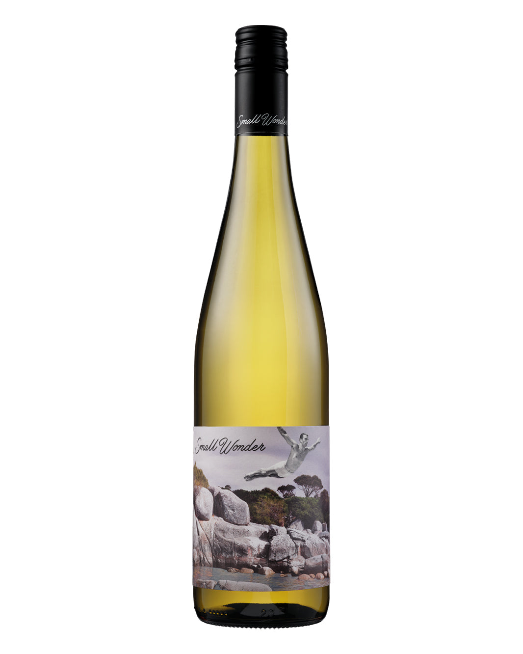2025 Small Wonder Landscape Riesling 750ml